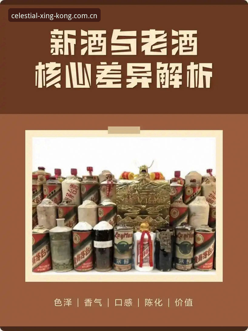 新瓶装旧酒：星空旧版登录失败与2026新版入口，哪个值得你折腾？